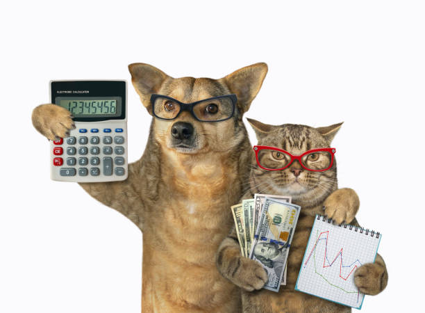 Dog and Cat with Calculators