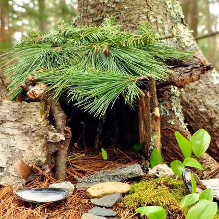 Fairy garden 13