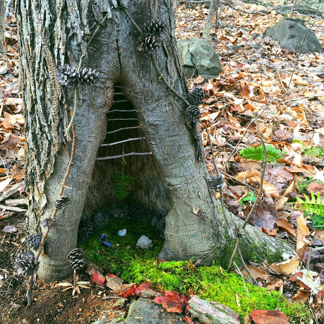 Fairy garden 14