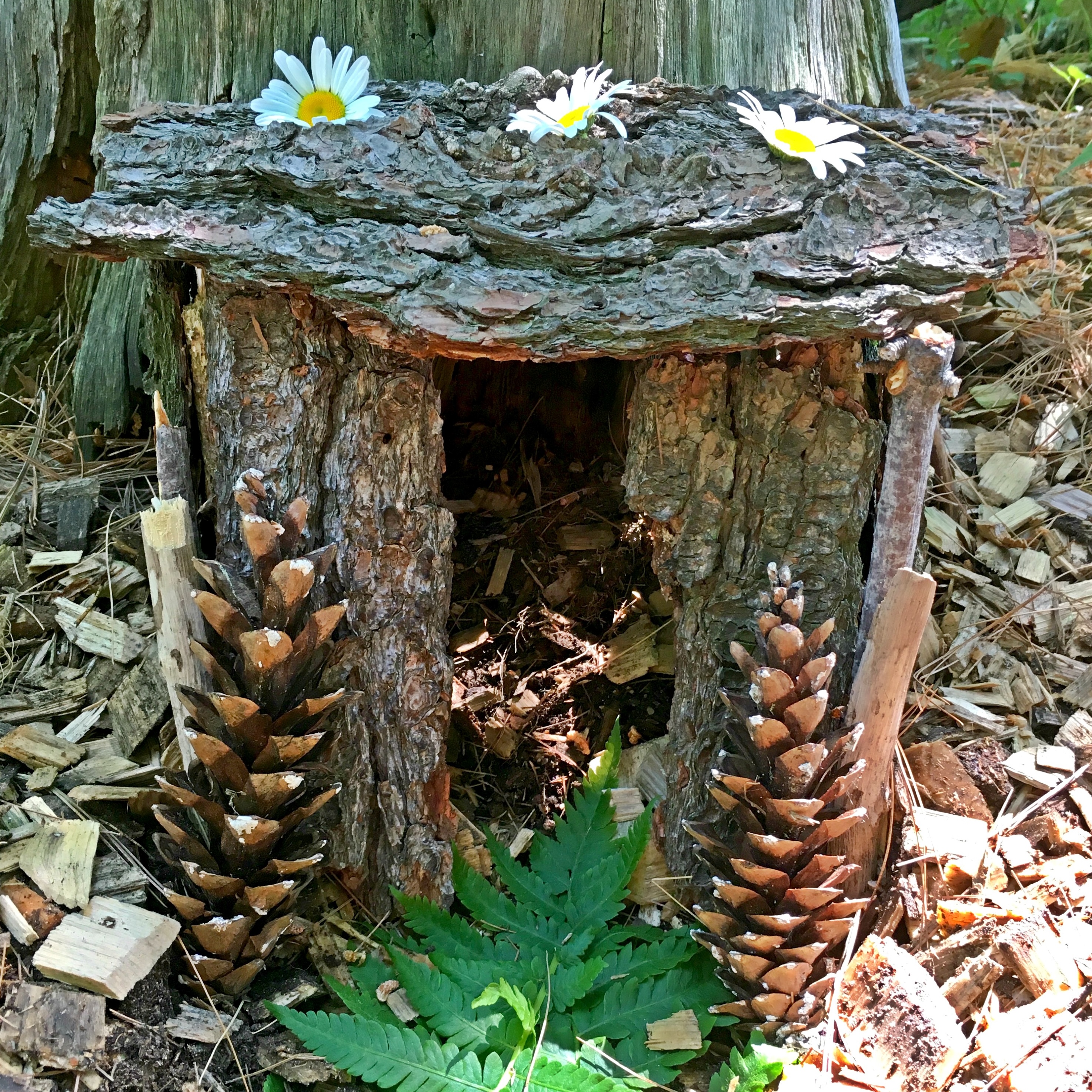 Fairy garden 2