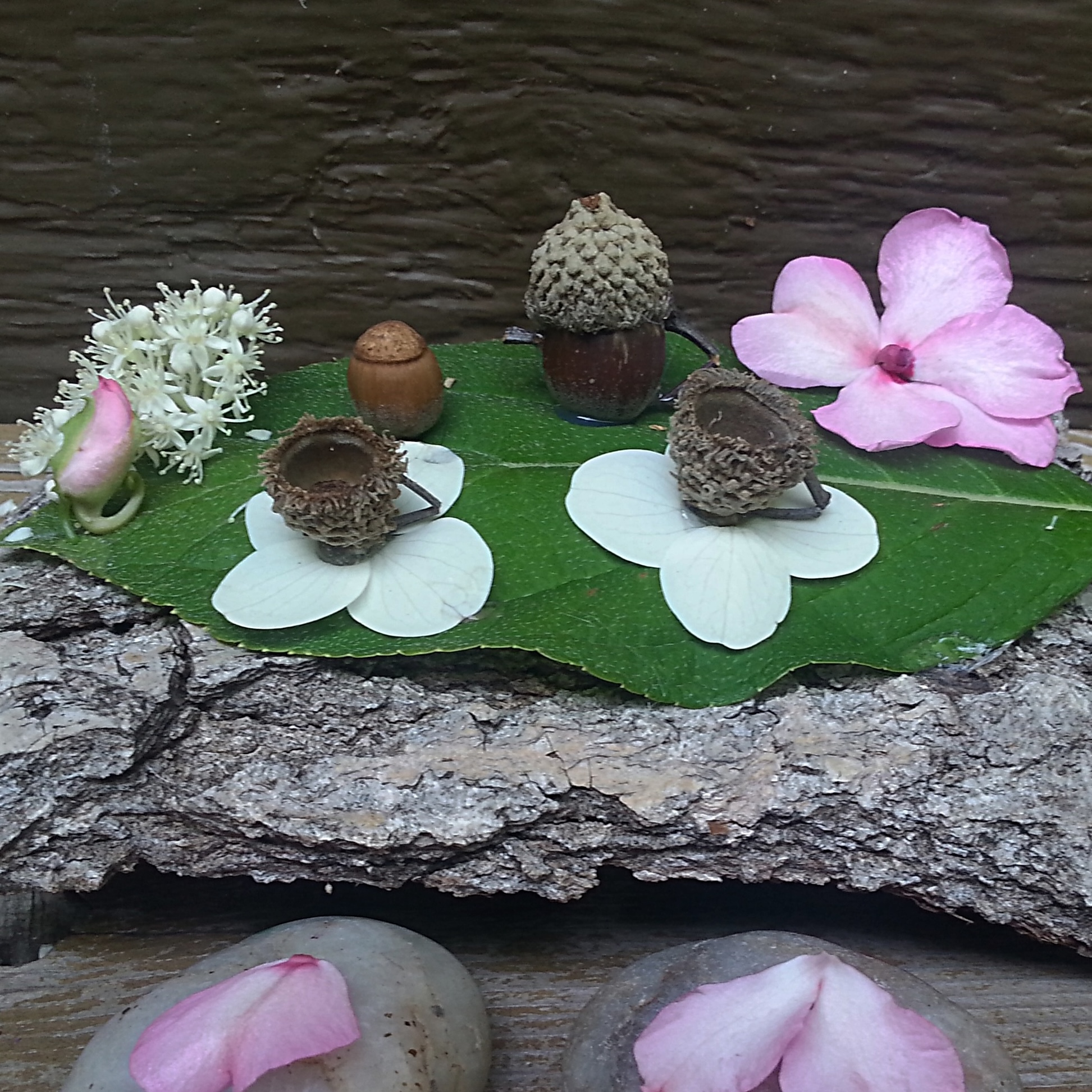 Fairy garden 3