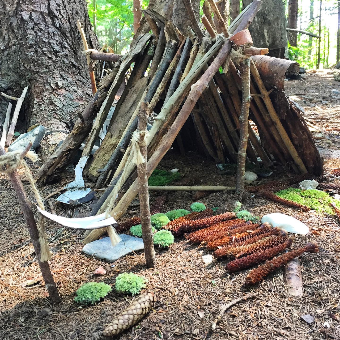 Fairy garden 4