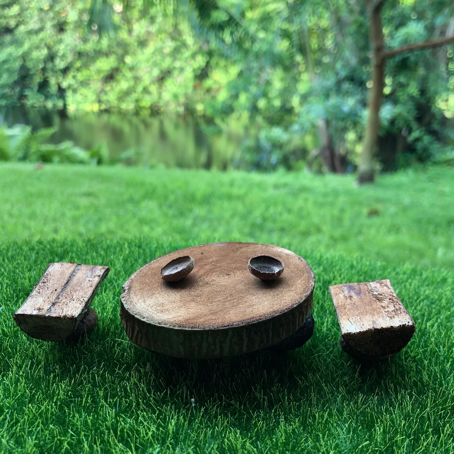 Fairy garden 6