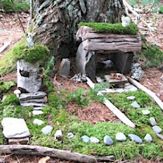 Fairy garden 7