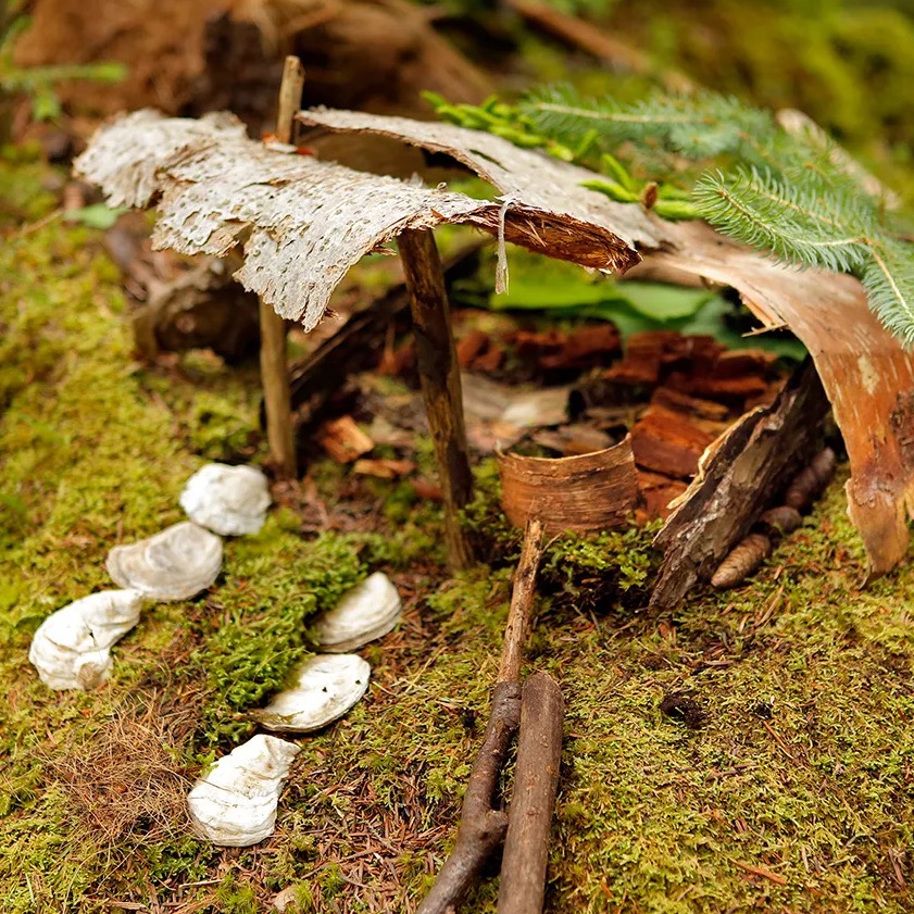 Fairy garden 9